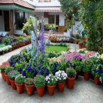 Stay In A Homestay In Faridabad, Faridabad 2